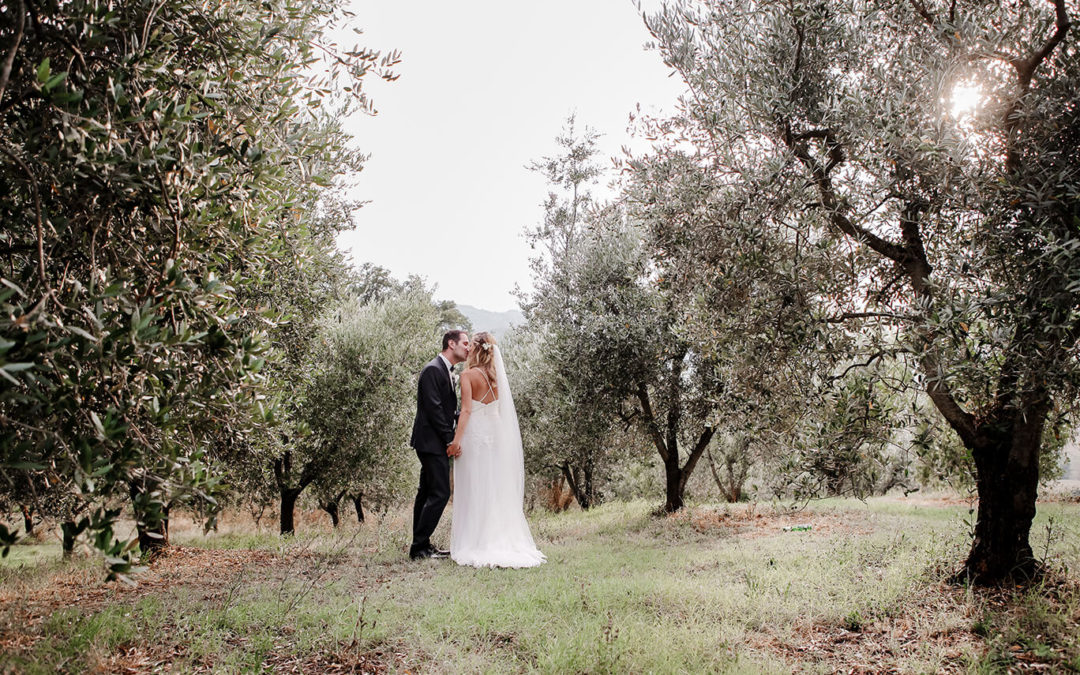 wedding couple kissing under the olive trees in Tuscany